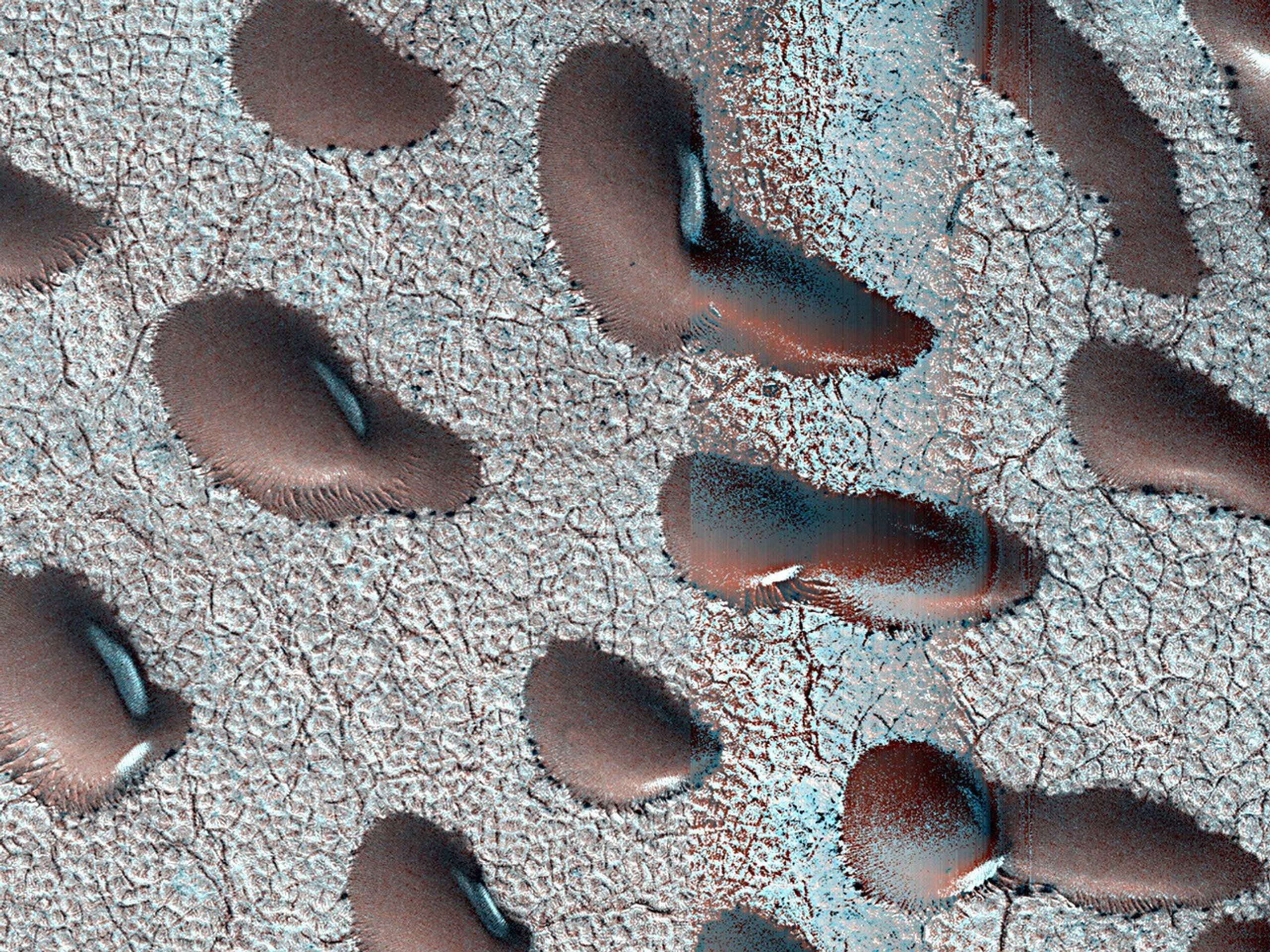A color image of the Martian surface from above looks like the bumpy, scaly skin of a reptile, with the high spots in shades of light turquoise and tan, and the crevices appearing a dark copper color. Among all this are a dozen oblong bumps, angled from the upper left toward lower right, also mainly copper-colored; some of them look like coffee beans, others resemble partially deflated, wrinkled balloons. They’re lighted from a source beyond the lower-left edge of the frame; on their shadowed sides, some have patches of white or light turquoise.
