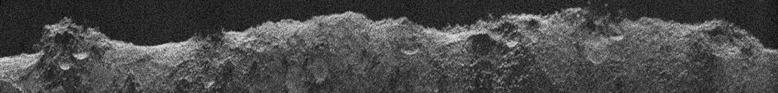 Europa Clipper's radar instrument received echoes of its very-high-frequency radar signals that bounced off Mars and were processed to develop this radargram.