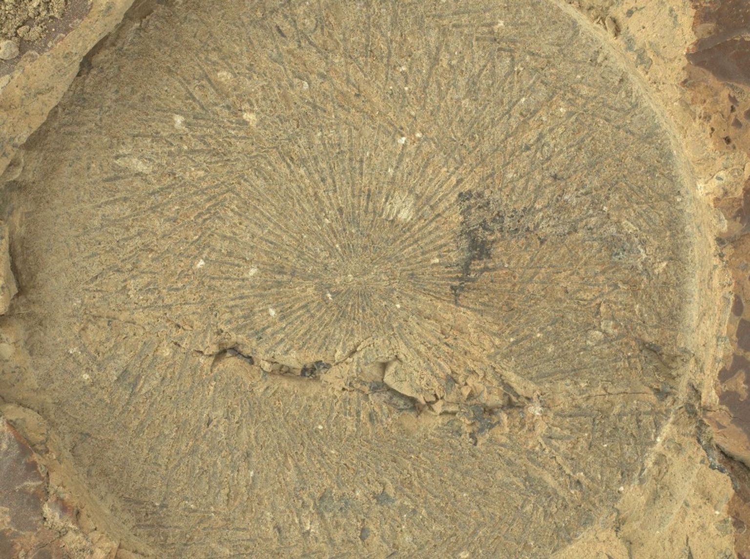 This close-up view of an abrasion showing distinctive tool marks created by the Perseverance's abrading bit was acquired on June 5, 2025.