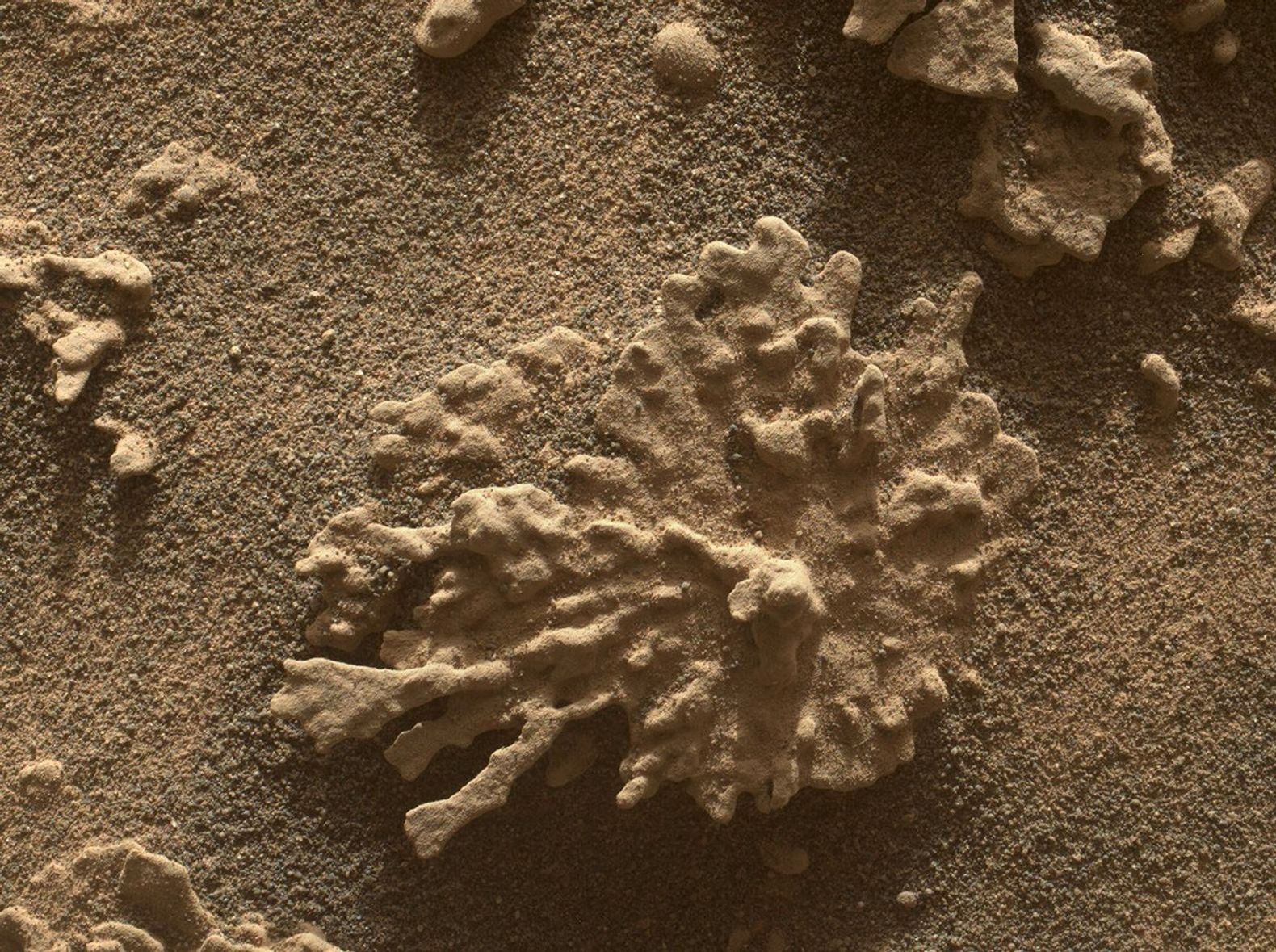 Curiosity viewed this rock shaped like a piece of coral on July 24, 2025. The rover has found many rocks that were formed by minerals deposited by ancient water flows.