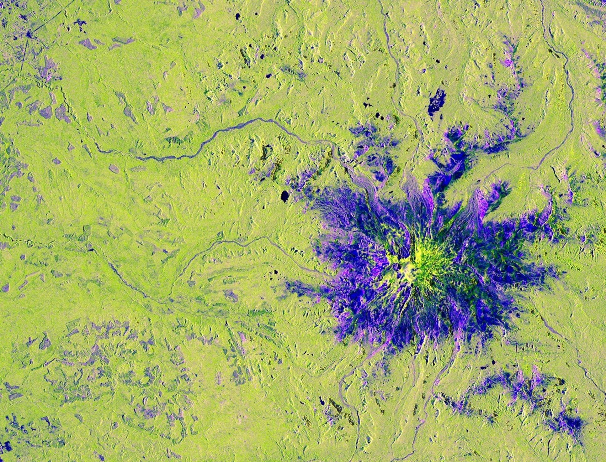 An overhead view of a mountain and the area around it, with unnatural colors added to the radar image. The ground is colored a bright spring green, while the mountain is purple, spreading out like a flower, with a center that's bright fluorescent yellow-green.