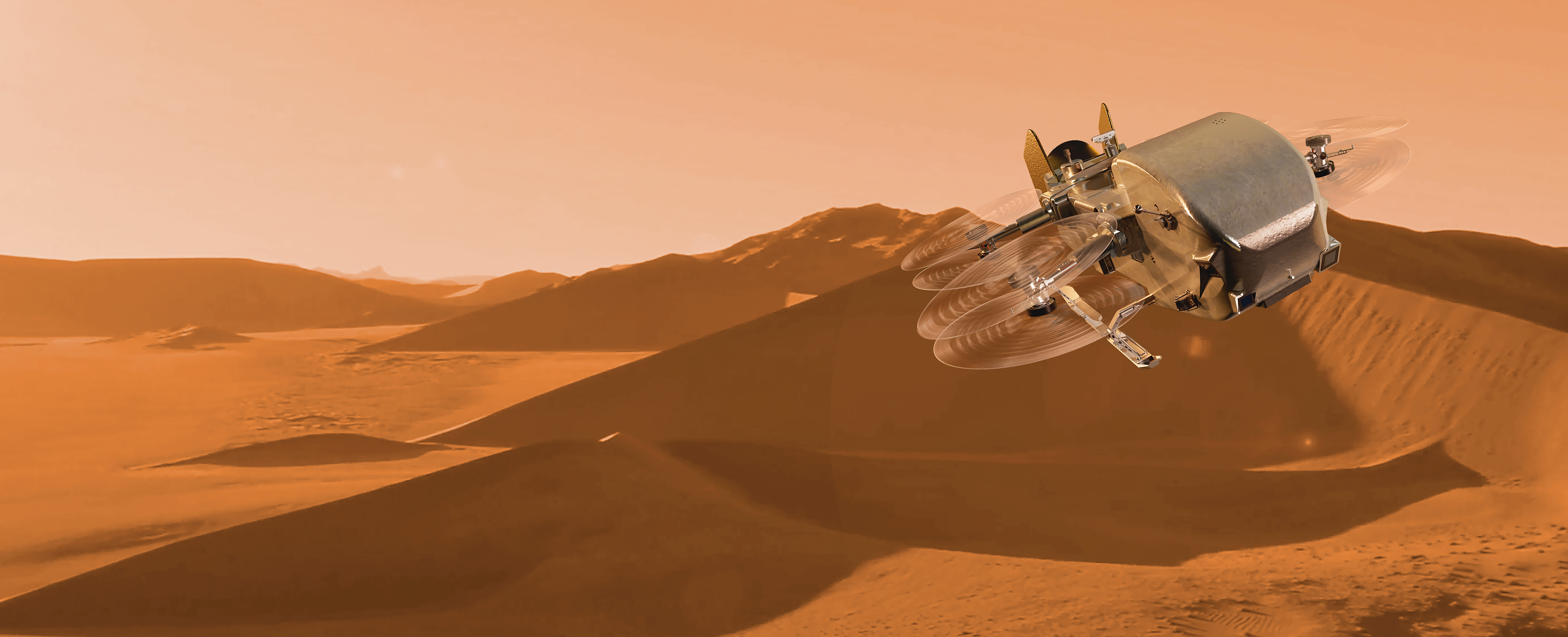 Image of Dragonfly hovering over the dunes