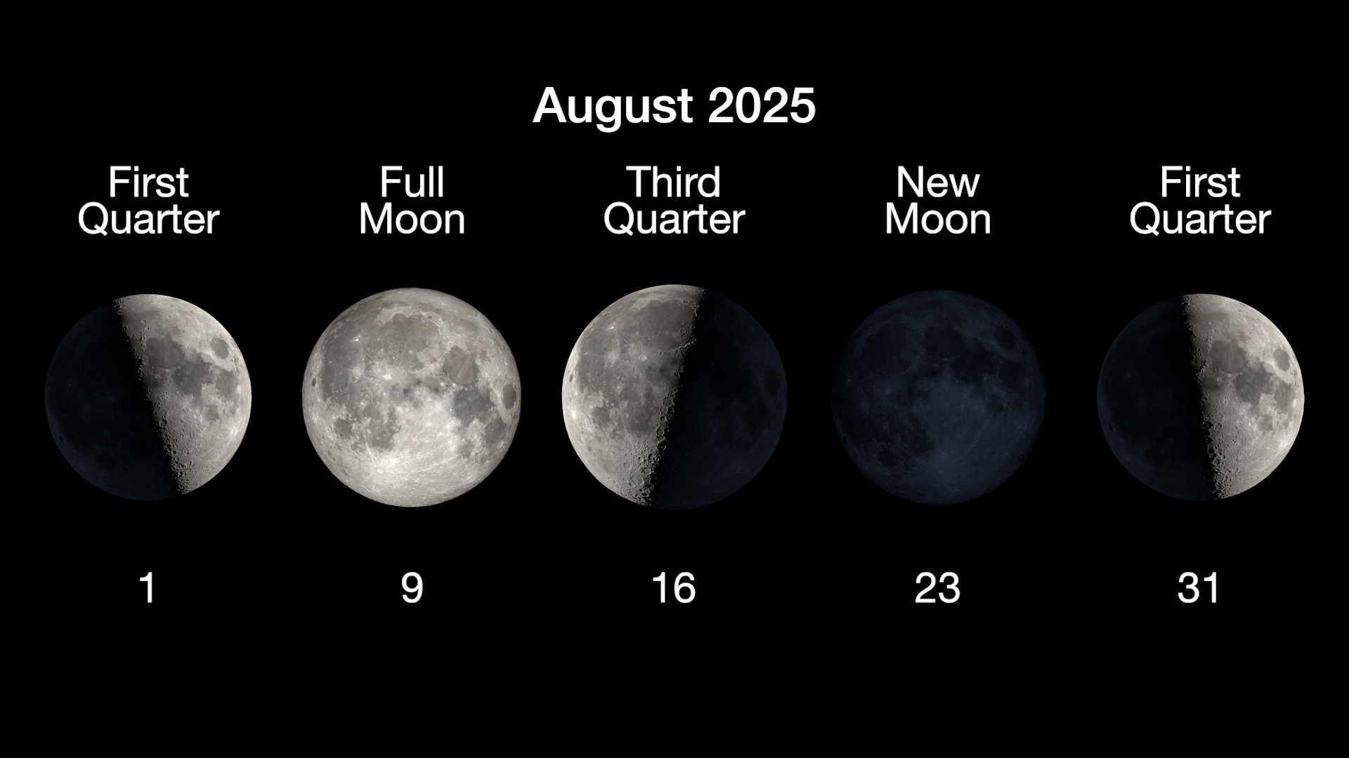 The main phases of the Moon are illustrated in a horizontal row, with the first quarter moon on August 1, full moon on August 9, third quarter on August 16, new moon on August 23, and a second first quarter moon on August 31.