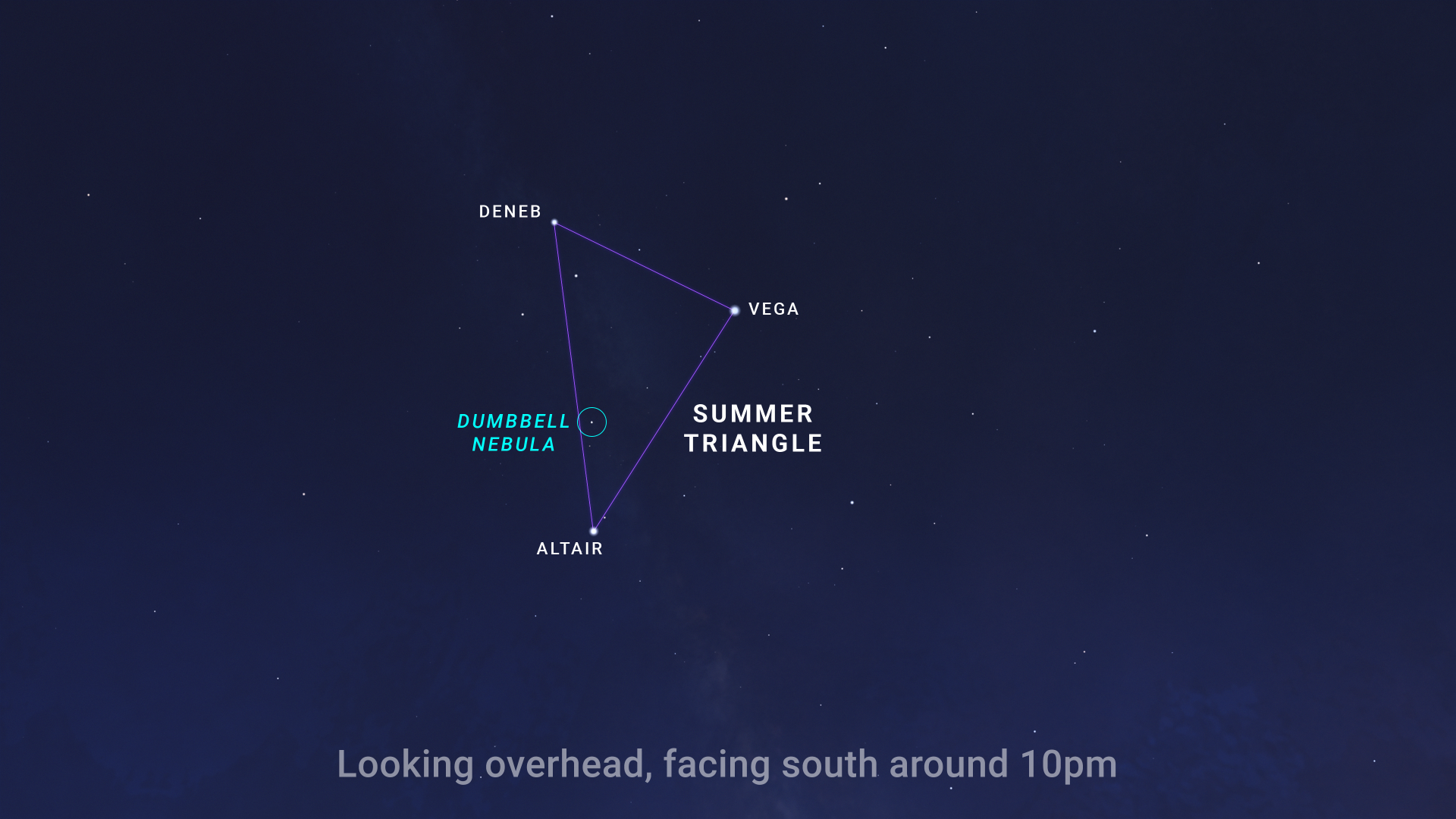 An illustrated sky chart shows a dark, nighttime sky with stars scattered as points of light. Three bright stars are labeled and form a triangle shape: Vega, Deneb, and Altair. A circle between Deneb and Altair indicates the location of the Dumbbell Nebula.