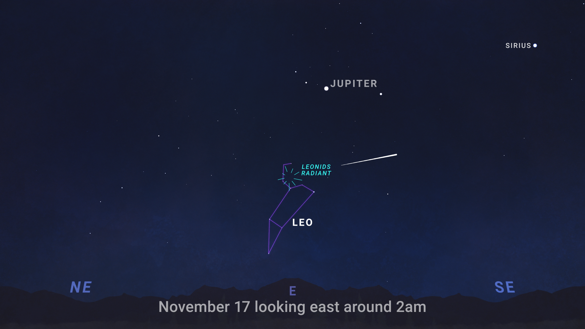 A night sky chart for the Leonids meteor shower on November 17 looking east around 2 am. It highlights the constellation Leo and the Leonids Radiant point. The planets Jupiter and the star Sirius are also visible.