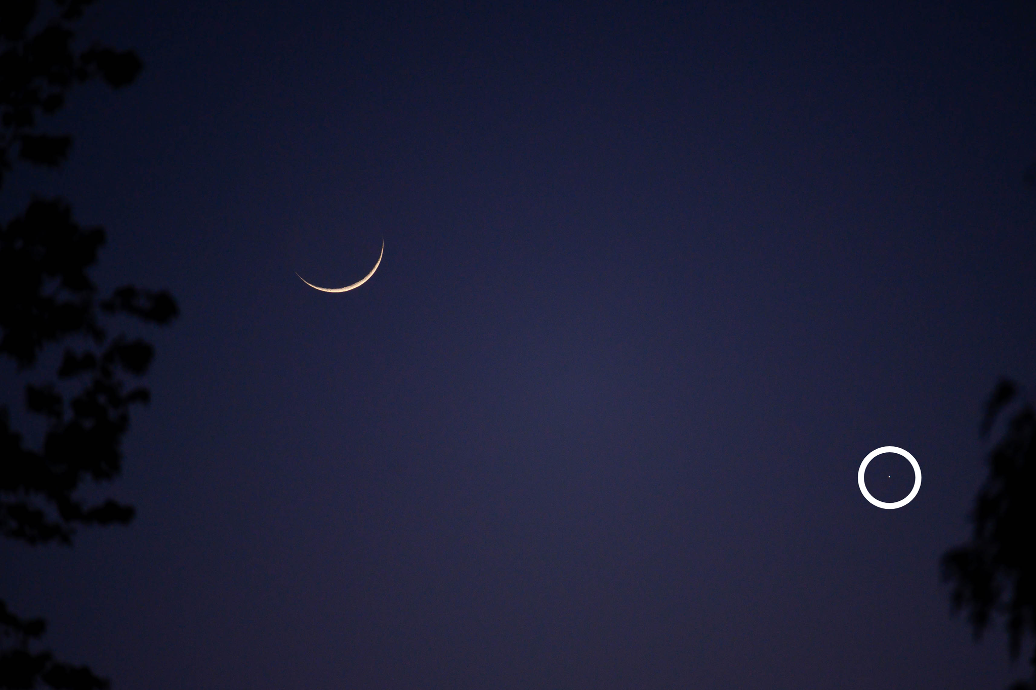 A crescent moon and Mercury (circled) glow in a dark blue predawn sky, illustrating Mercury's rare visibility near the horizon during its April greatest elongation.