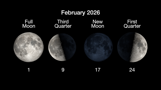 A horizontal panoramic graphic titled February 2026 illustrates four primary lunar phases set against a solid black background, with their corresponding dates positioned directly below each moon. The sequence begins on the far left with a fully illuminated Full Moon, commonly known as the Snow Moon, marked with the number 1. To its right is the Third Quarter moon, showing illumination on its left half and labeled with the number 9. The third image in the series depicts the New Moon on the 17th, appearing as a faint, dark silhouette; notably, this phase coincides with an annular solar eclipse. The cycle concludes on the far right with the First Quarter moon on the 24th, which is illuminated on its right side.