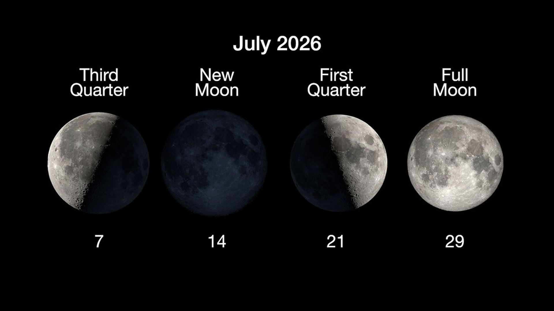 Chart showing June 2026 moon phases: Third Quarter on the 7th, New Moon on the 14th, First Quarter on the 21st, and Full Moon on the 29th.