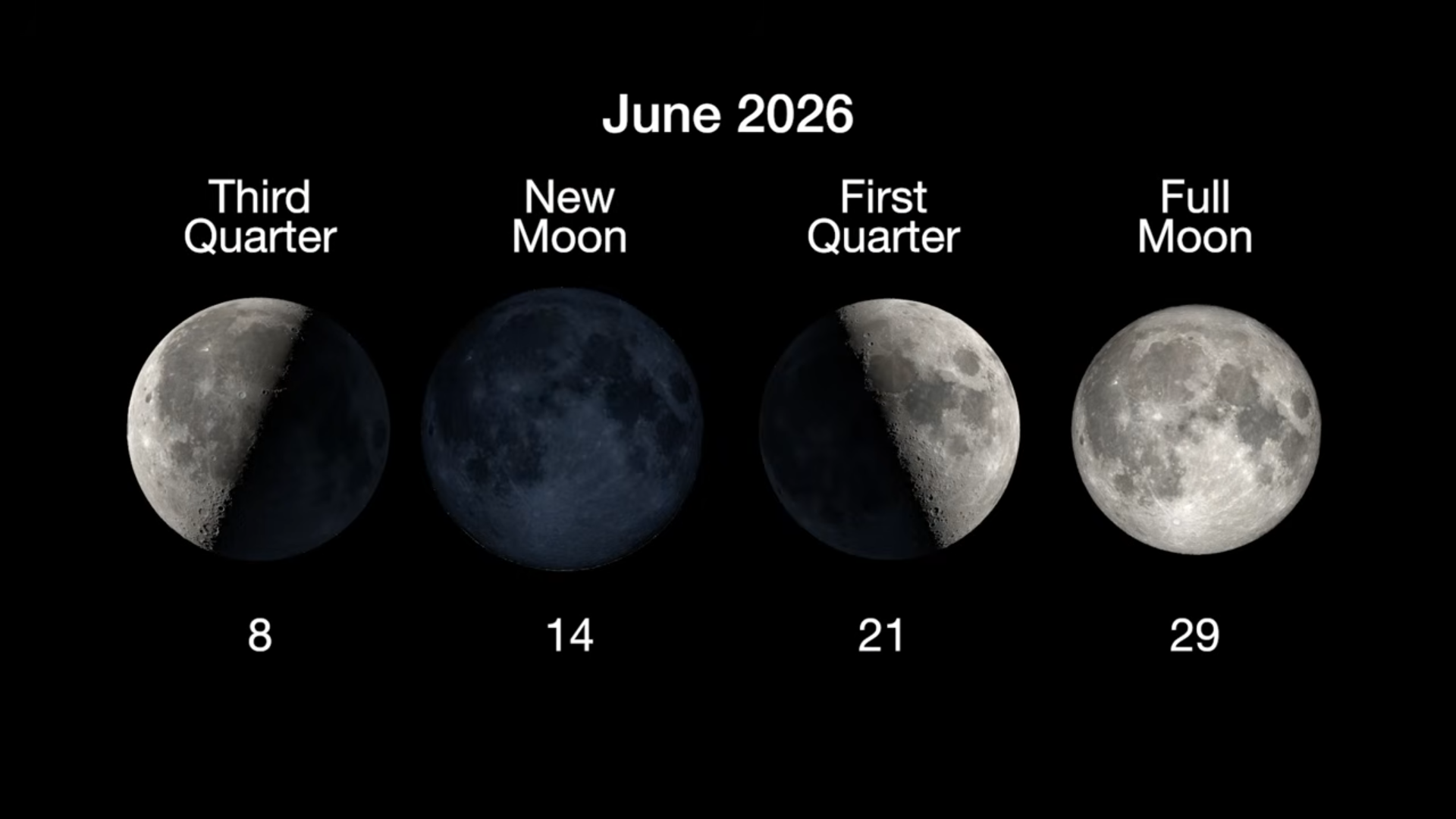 Chart showing June 2026 moon phases: Third Quarter on the 8th, New Moon on the 14th, First Quarter on the 21st, and Full Moon on the 29th.