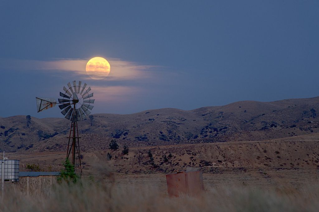 What’s Up: May 2026 Skywatching Tips from NASA