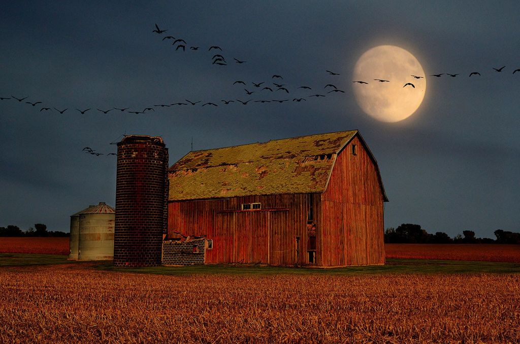 What’s Up: September 2026 Skywatching Tips from NASA