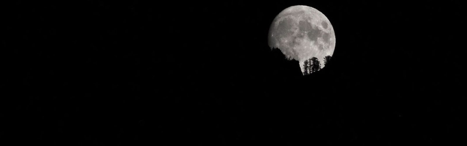 A full Moon rising over trees.