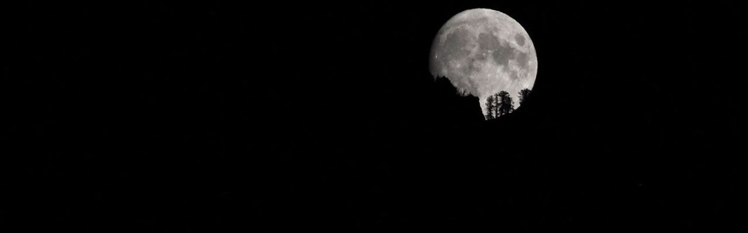 A full Moon rising over trees.