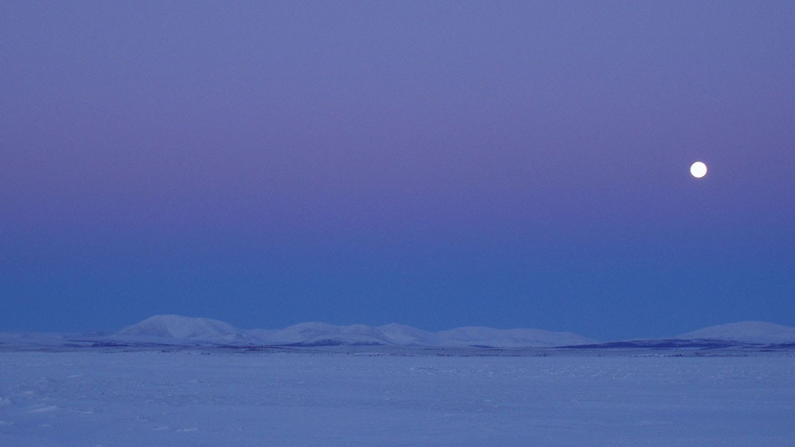 Purple and blue sky with a full Moon.