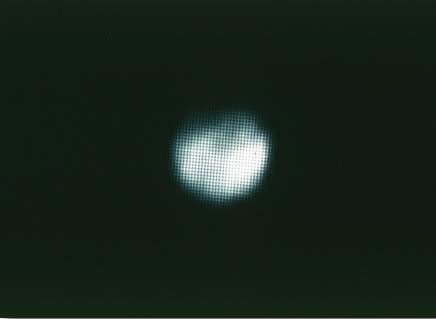 Distant Phoebe