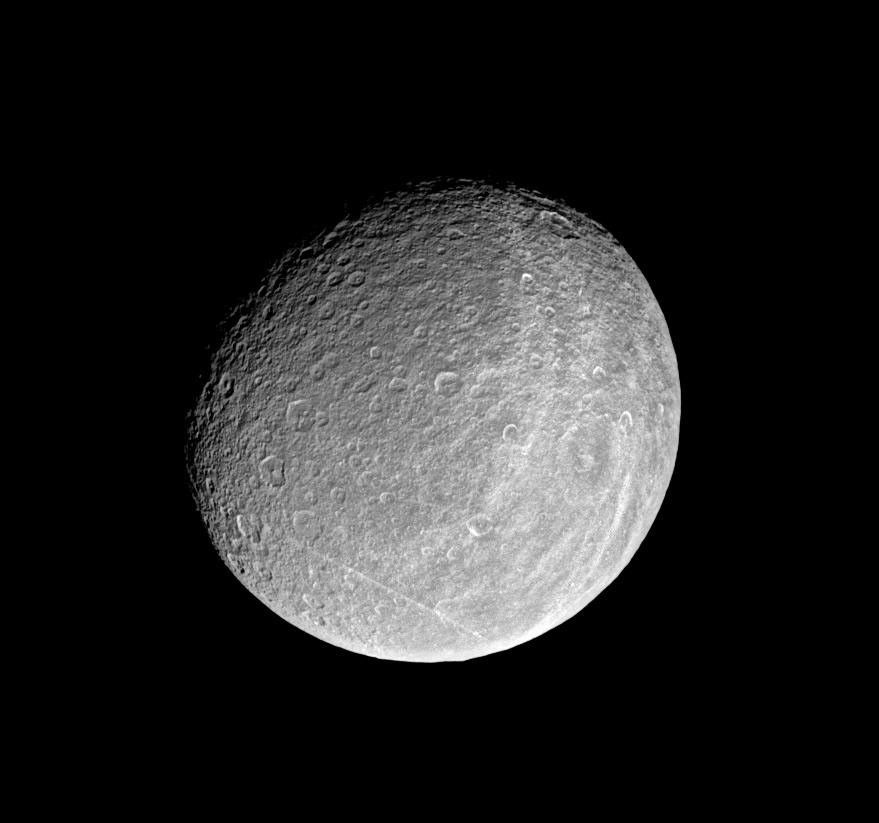 Black and white image of battered Rhea