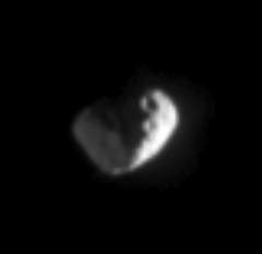 Close-up view of Janus