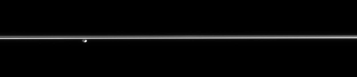 Pandora and Saturn's F ring