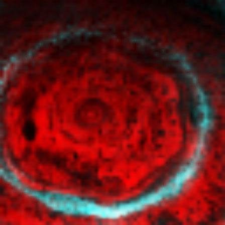 Hexagon feature in Saturn's north polar region