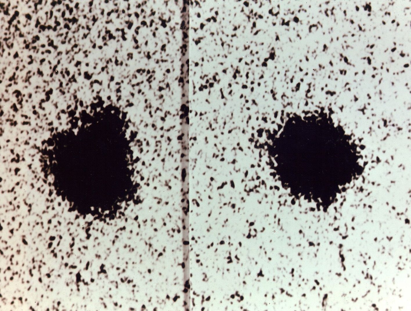 Fuzzy image of Pluto and Charon together.