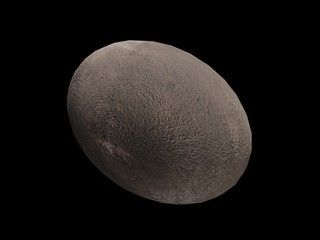 An oblong grey egg shaped object.