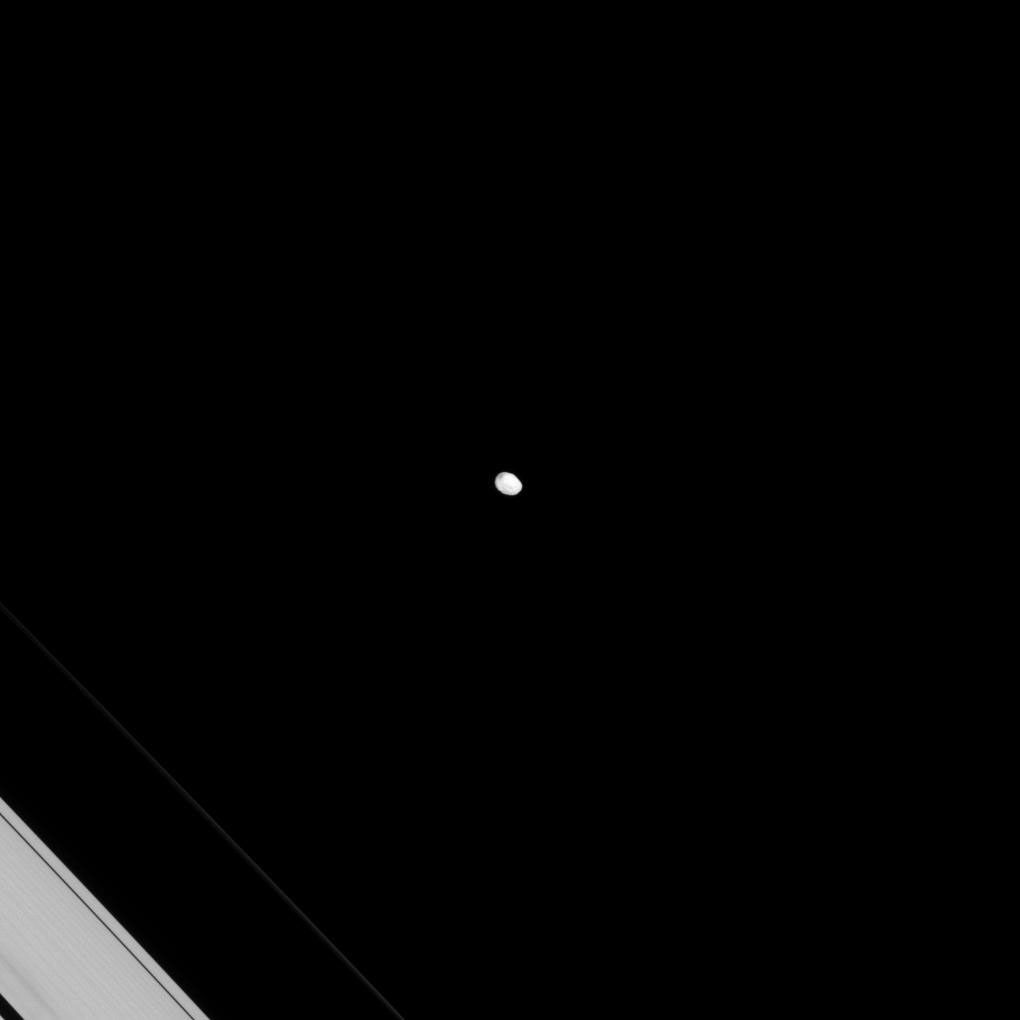 Janus and Saturn's rings