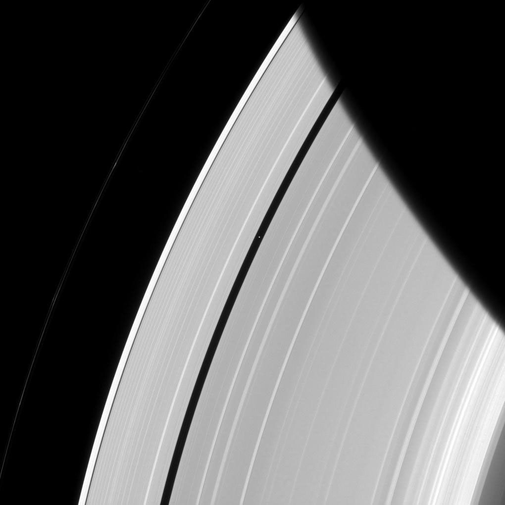 Saturn's innermost moon Pan orbits the giant planet seemingly alone in a ring gap its own gravity creates.