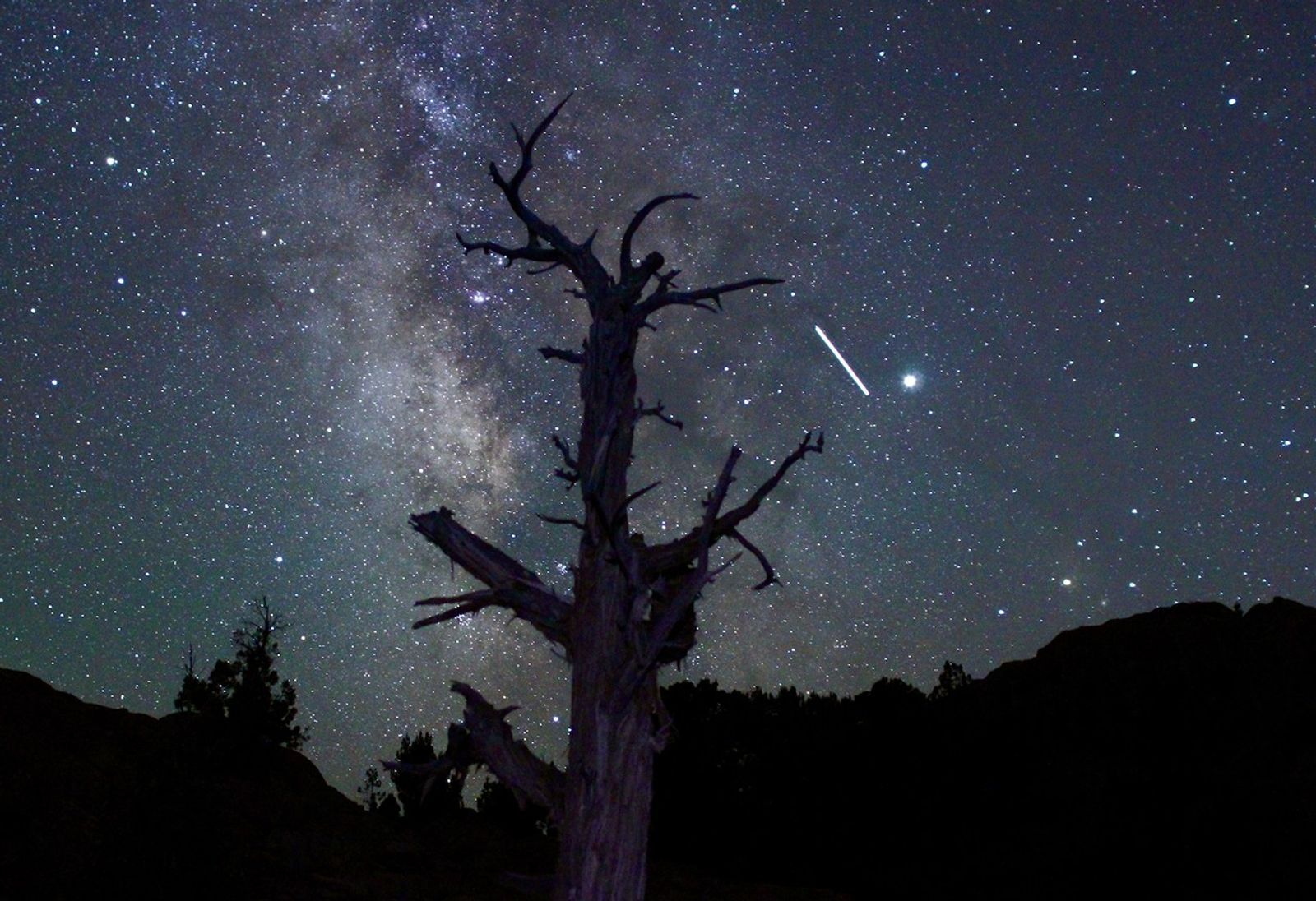 starry sky, tree, bright streak