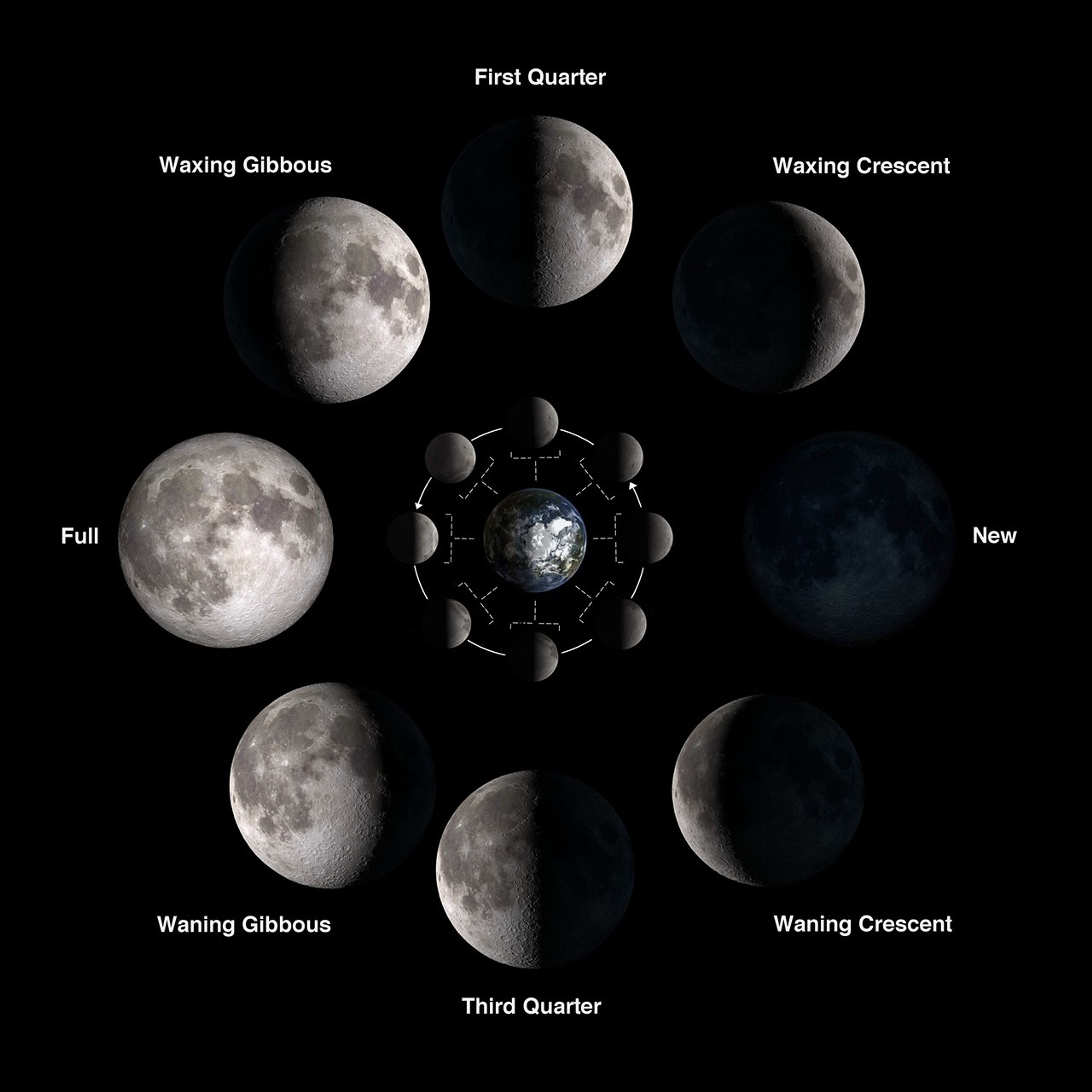 Chart showing phases of the Moon.