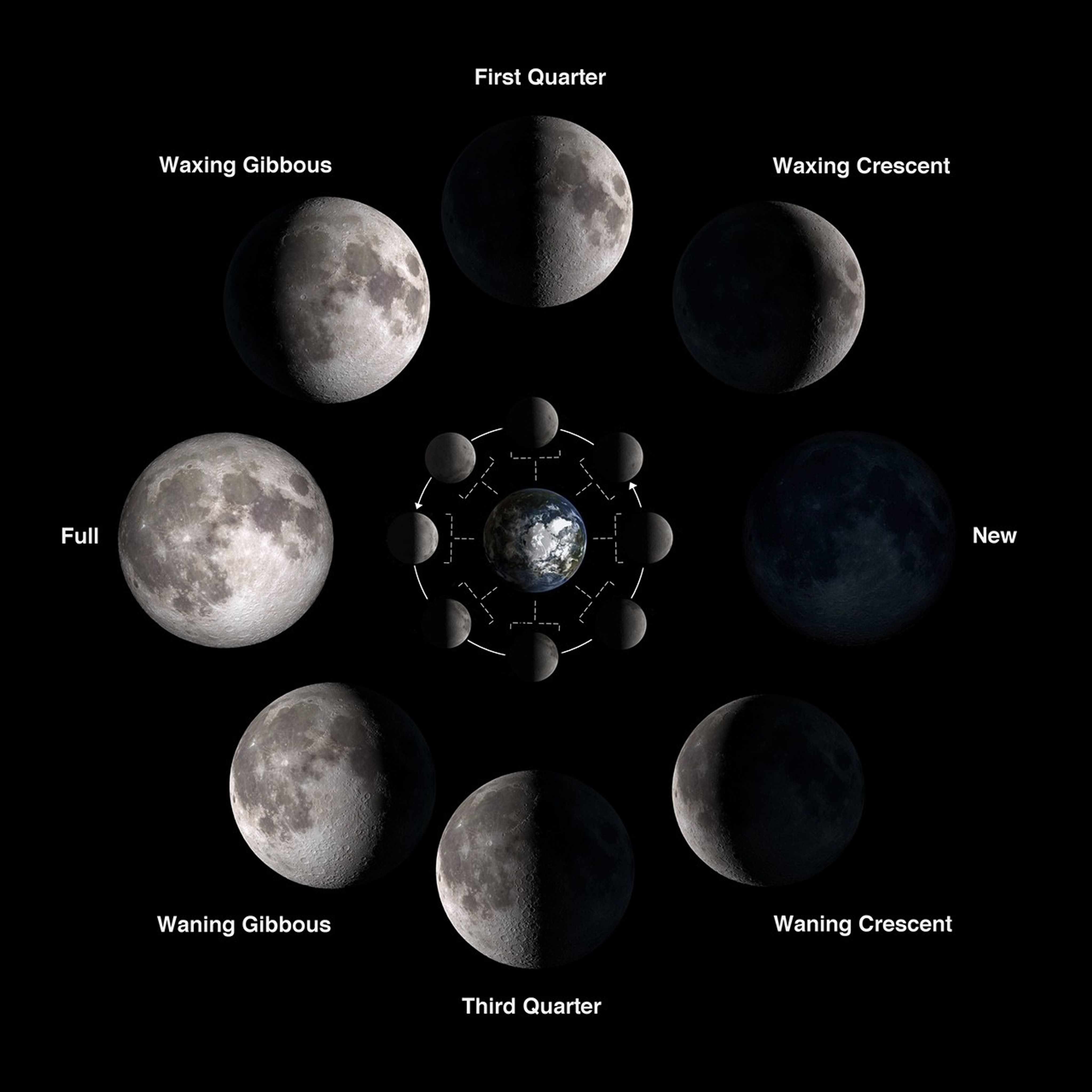 Chart showing phases of the Moon.