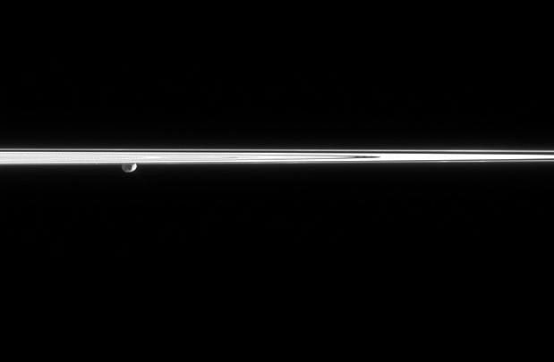 Janus and the rings