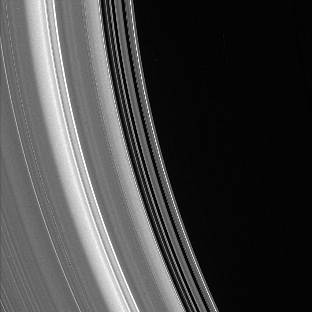The inner edge of the C ring