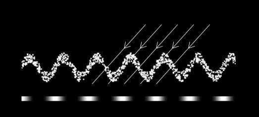 Graphic representation of D ring's structure