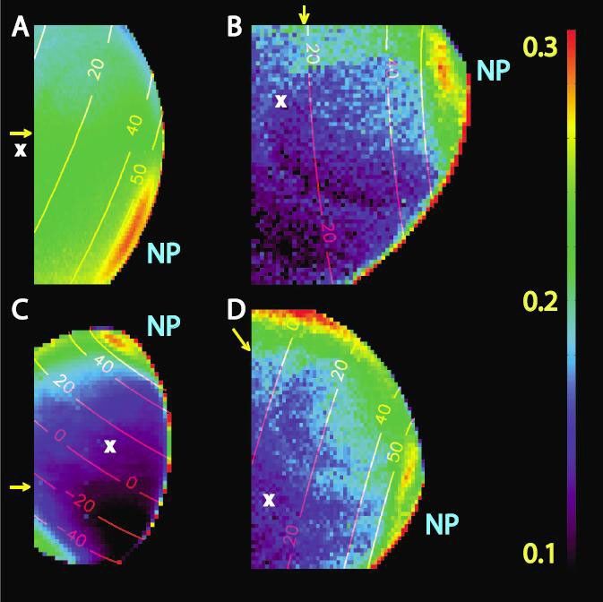 Infrared images of Titan's northern hemisphere