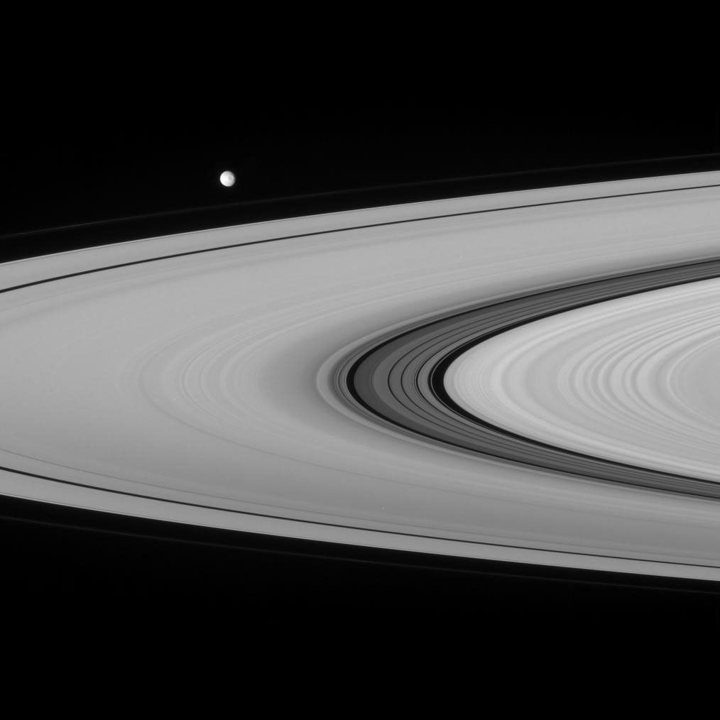 Mimas and Saturn's rings