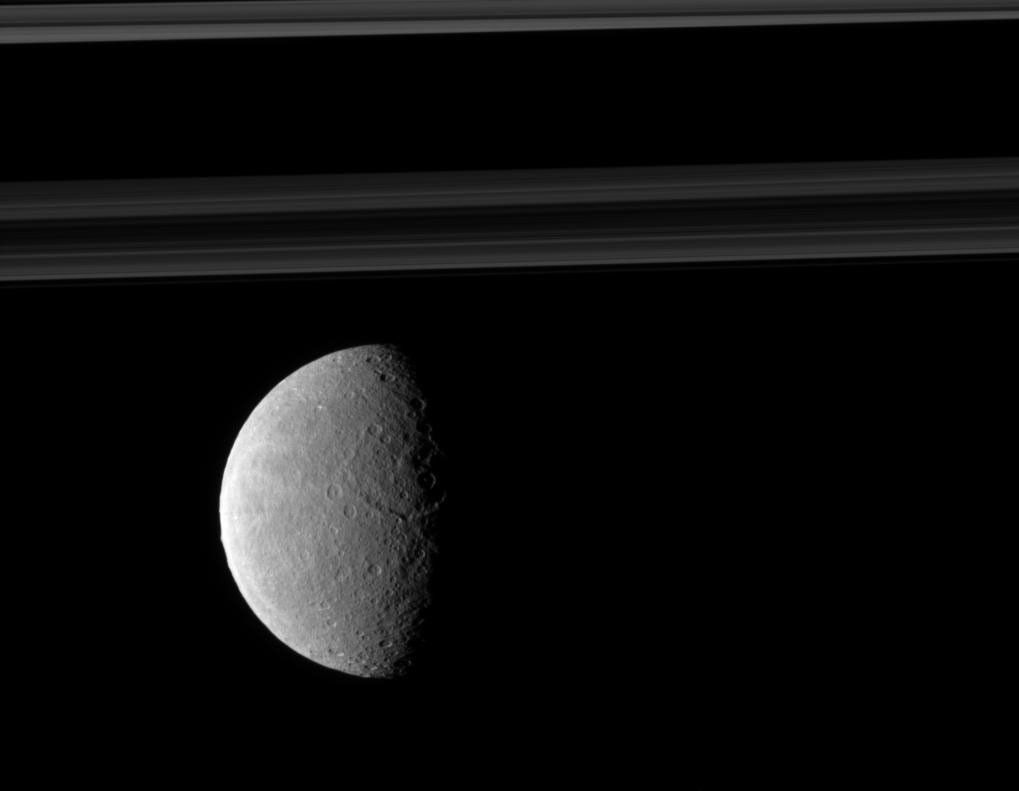 Rhea and Saturn's rings