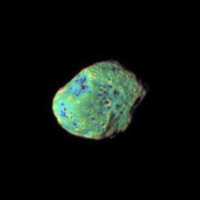 Saturn's moon Hyperion