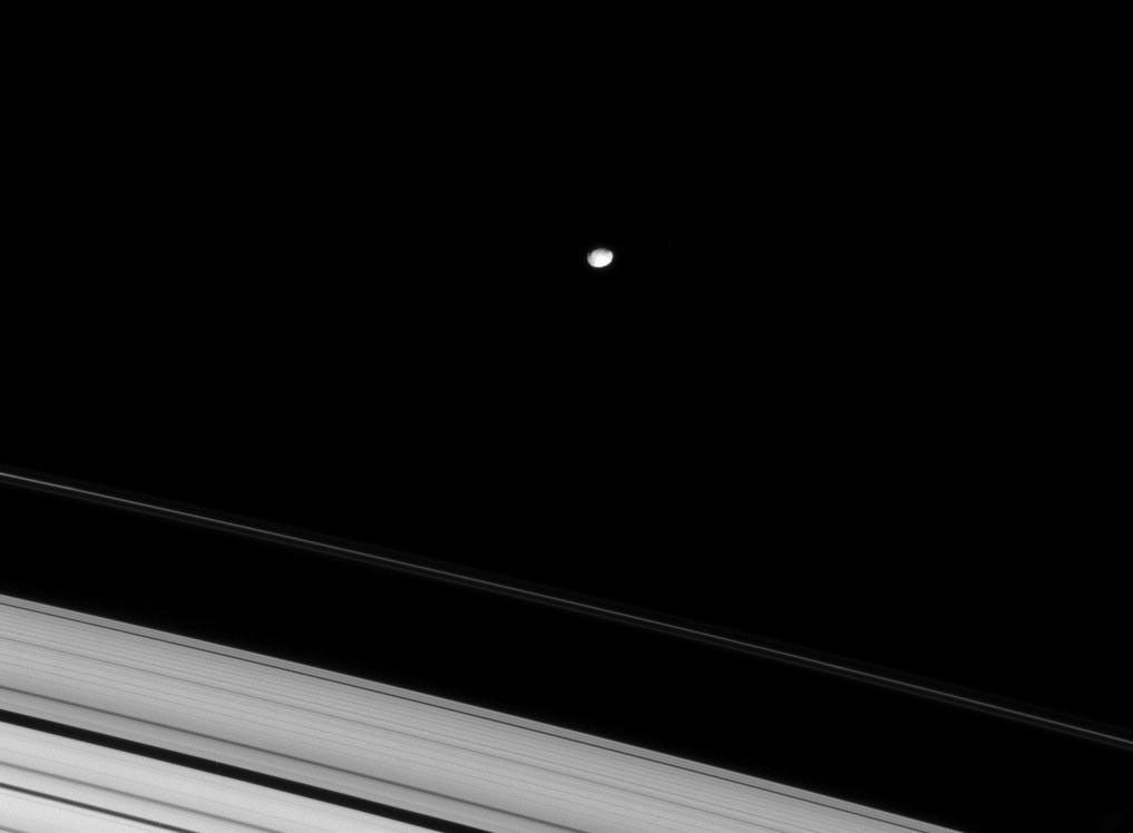 Janus and the F ring