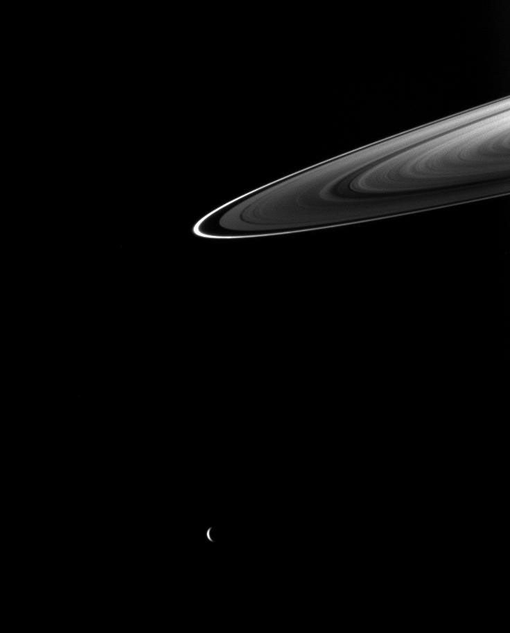 Rhea and Saturn's rings