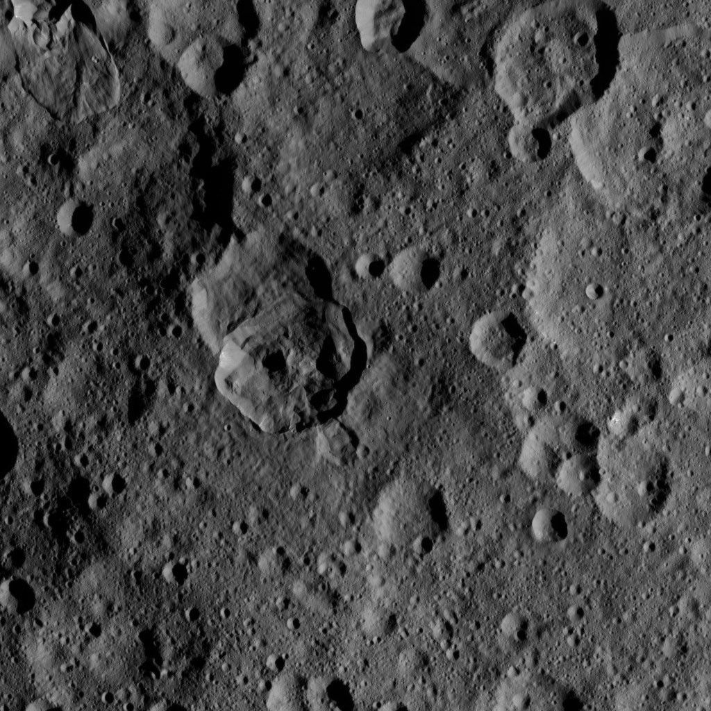 Dawn HAMO Image 4
