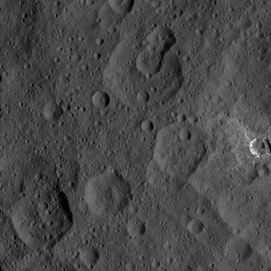 Dawn HAMO Image 5