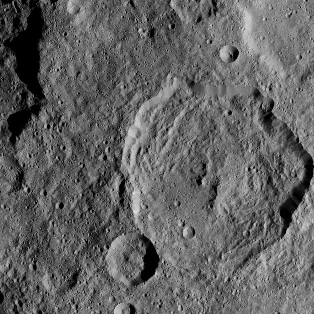 Dawn HAMO Image 7