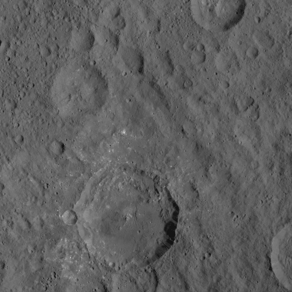 Dawn HAMO Image 9
