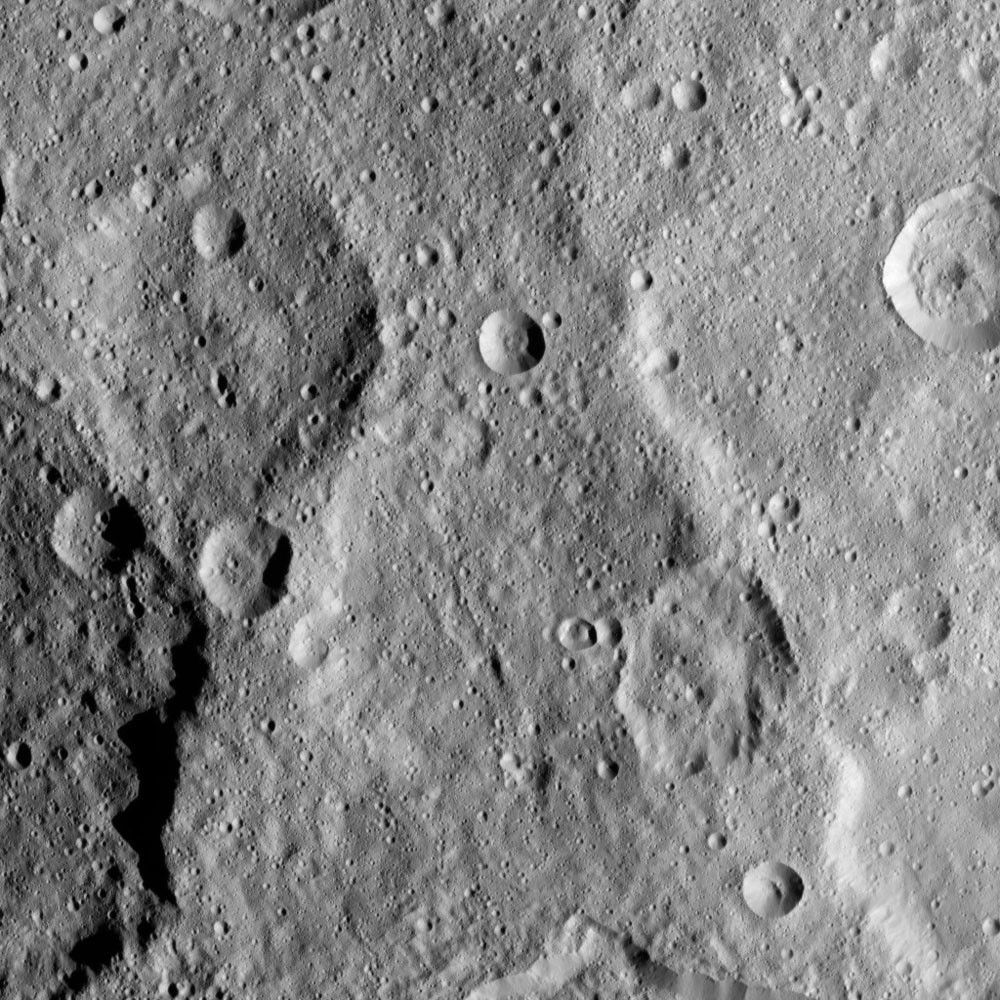 Dawn HAMO Image 10