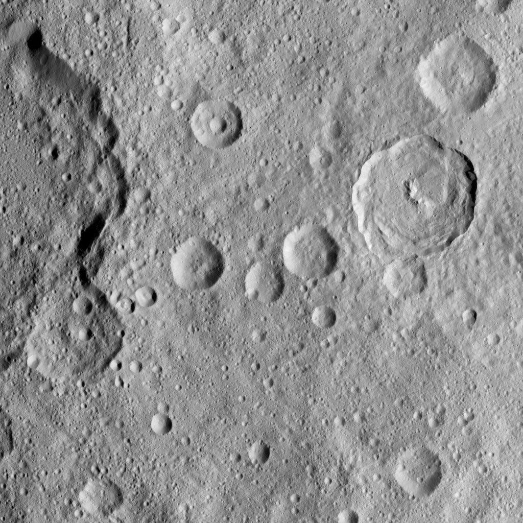 Dawn HAMO Image 11