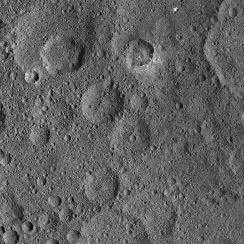 Dawn HAMO Image 14