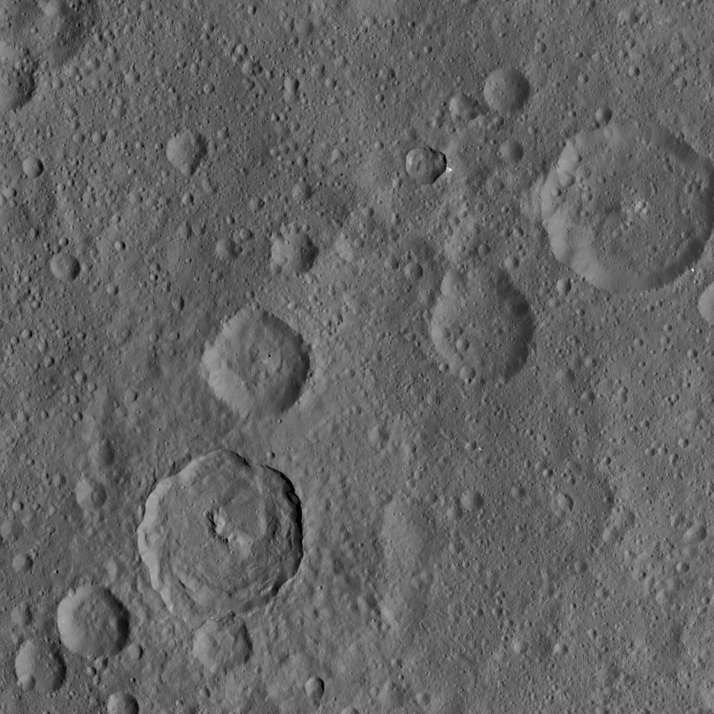 Dawn HAMO Image 15