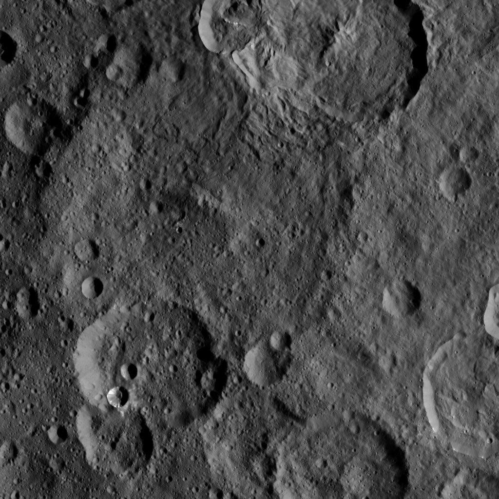 Dawn HAMO Image 18