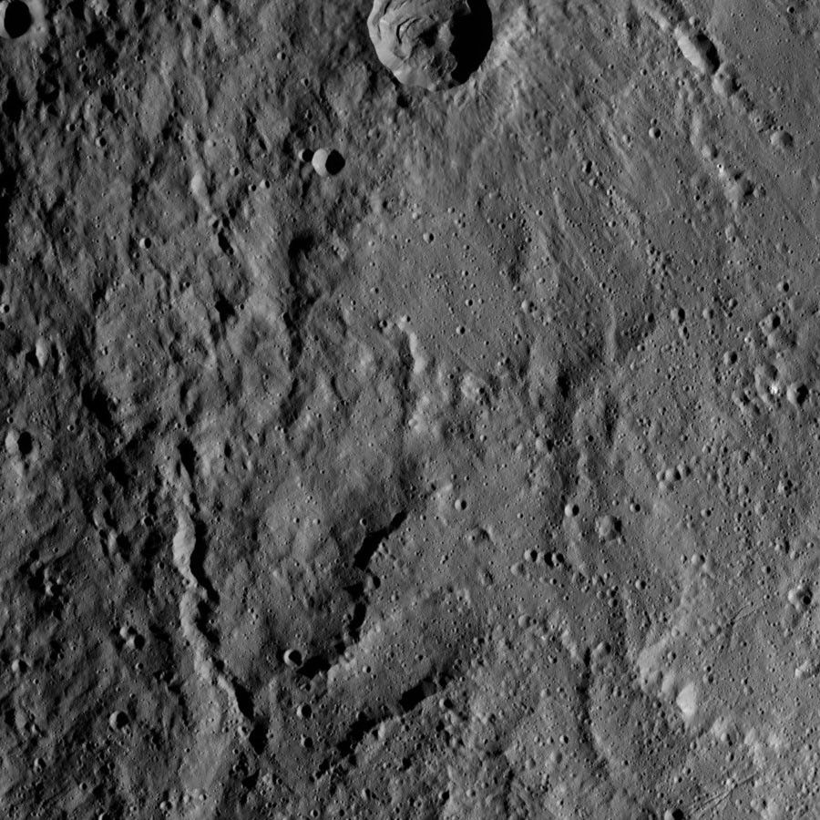 Dawn HAMO Image 21