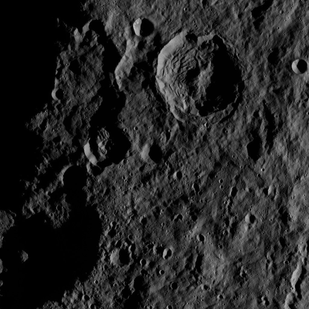 Dawn HAMO Image 22
